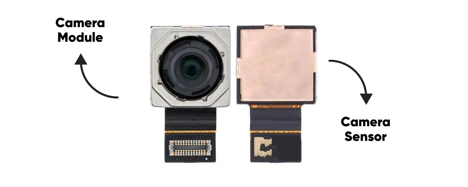 Camera Module and Back Panel Variations