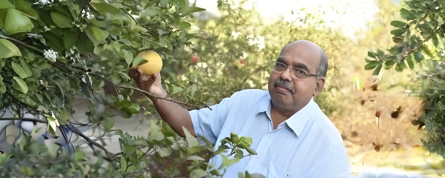 2. Emphasizing the Natural Advantage