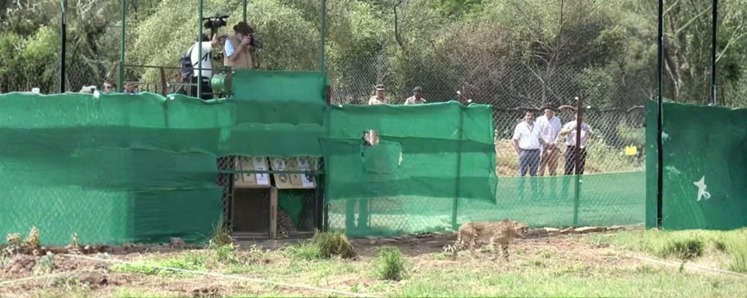 Economic Impact on Local Communities