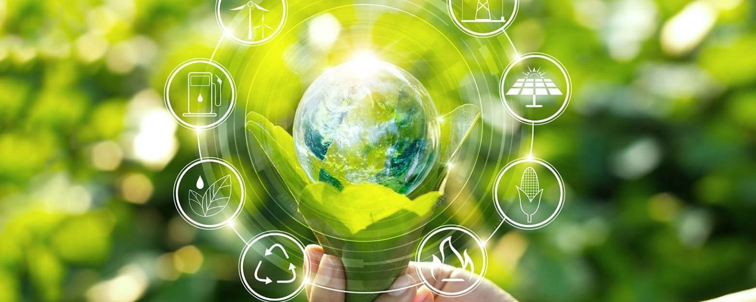 Environmental Concerns and Sustainable Practices