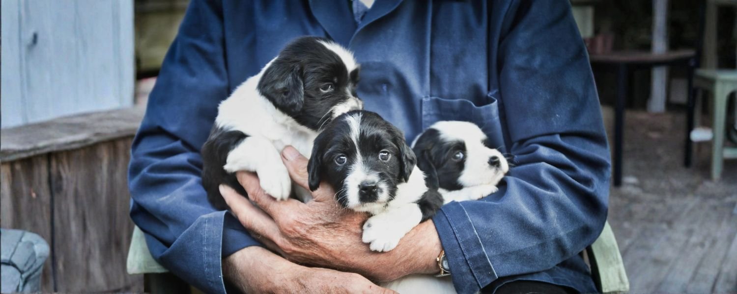 Addressing Common Health Concerns