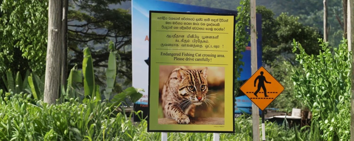 Conservation Efforts_ The Road Ahead, State animal of West Bengal