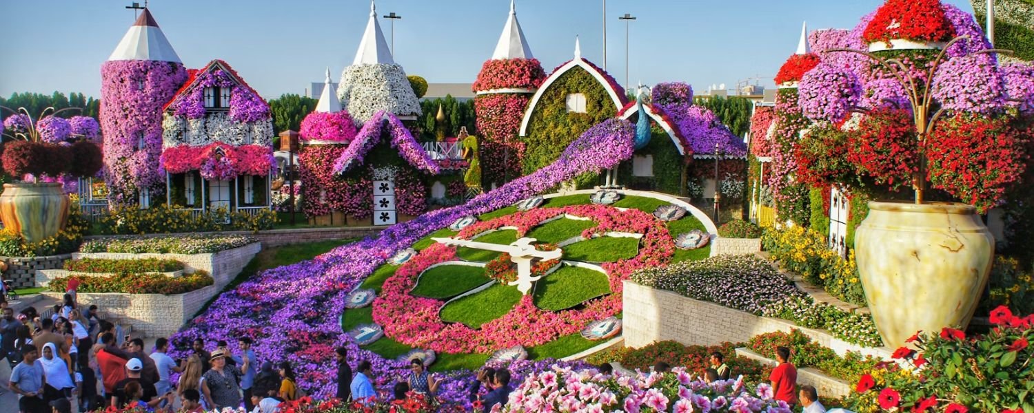 Dubai Miracle Garden Floral Extravaganza
