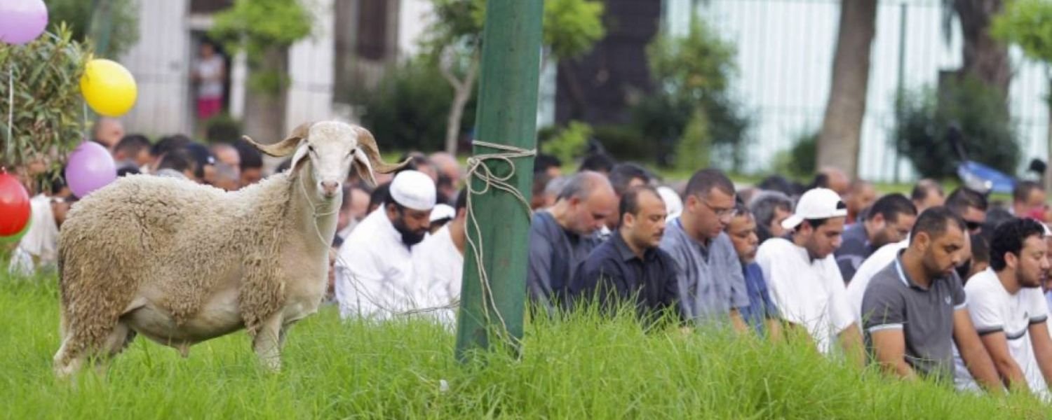 Personal Reflections_ A Devotee’s Perspective on Animal Sacrifice