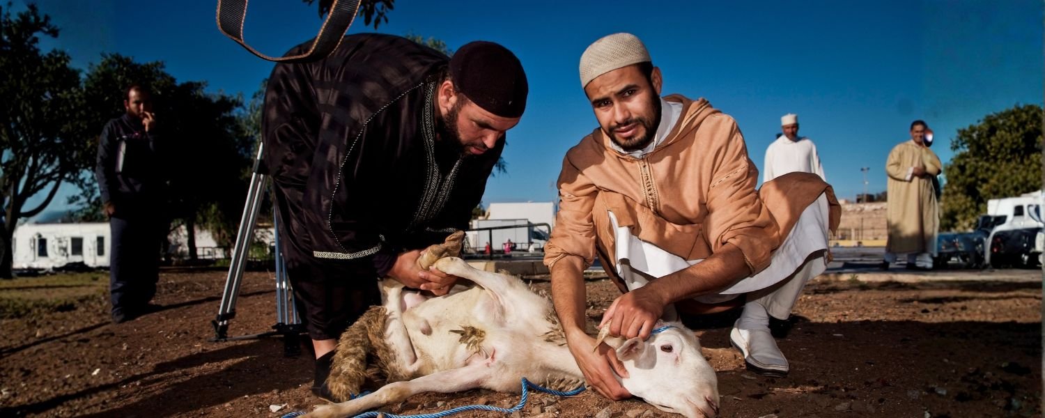 Sacrificial Animals_ Choosing and Preparing