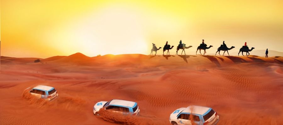 things to do in dubai, desert safari