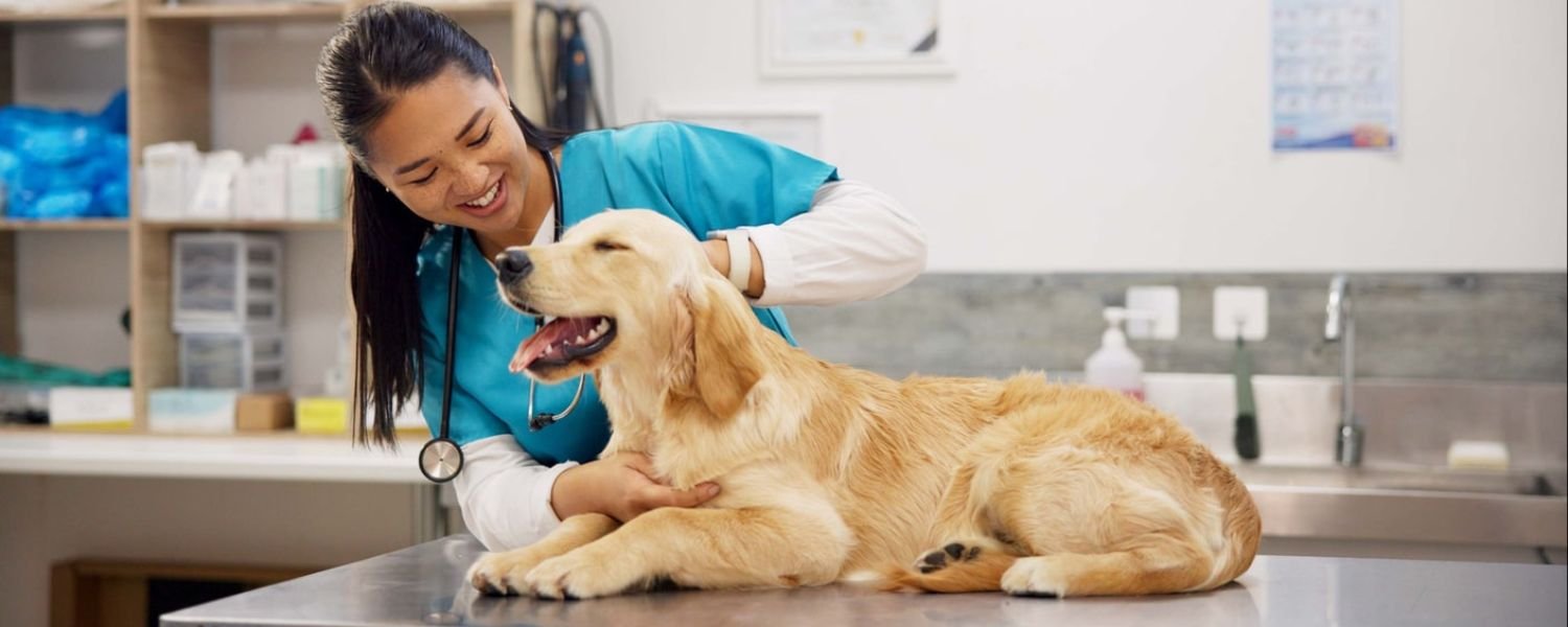Veterinary Care_ Ensuring Lifelong Well-Being