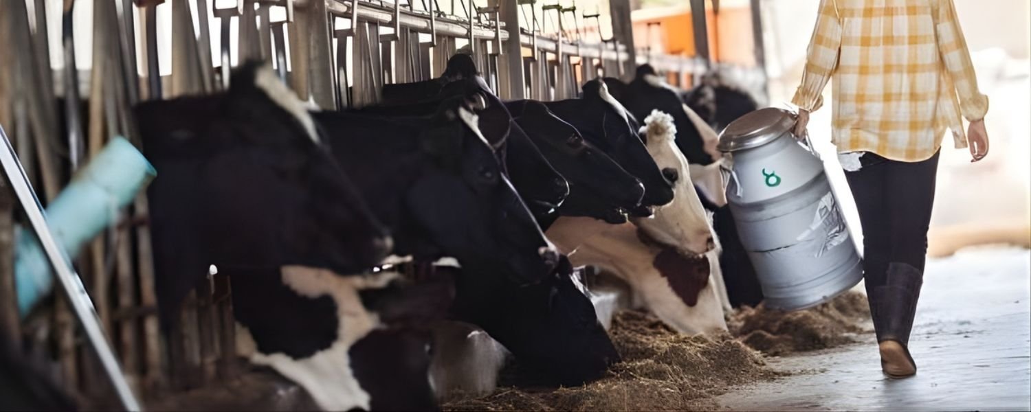 Amul's role in shaping the future of the global dairy industry