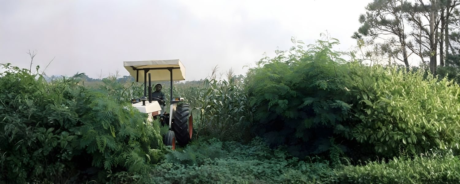 Agricultural Applications