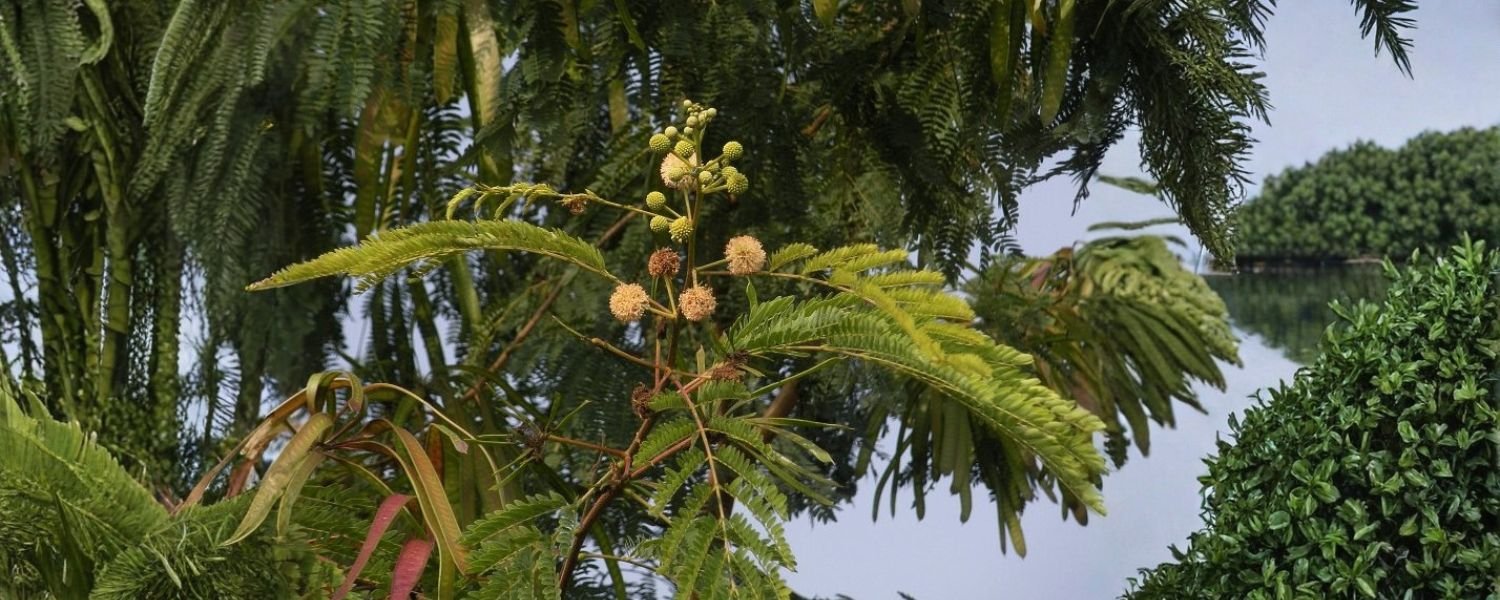 Research and Innovation