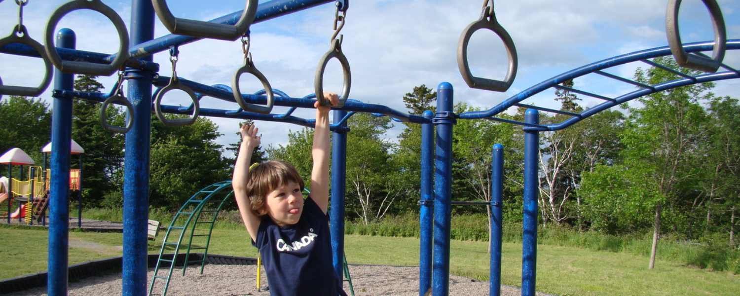 Jungle Gym Challenges: Navigating the Ultimate Adventure