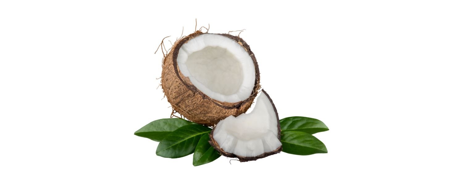 Coconut