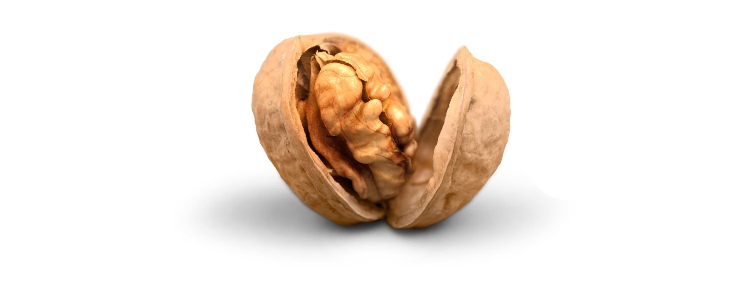 Walnut 