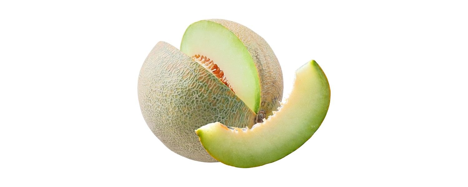 Muskmelon 