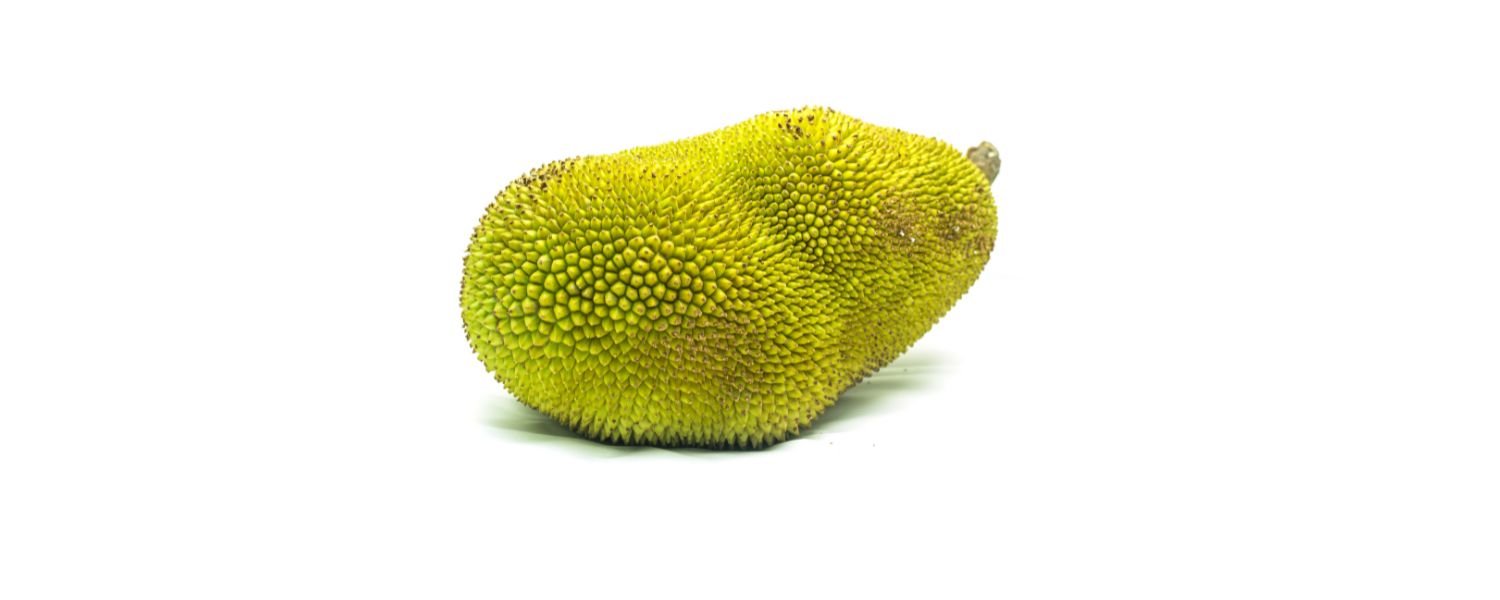 Jackfruit 