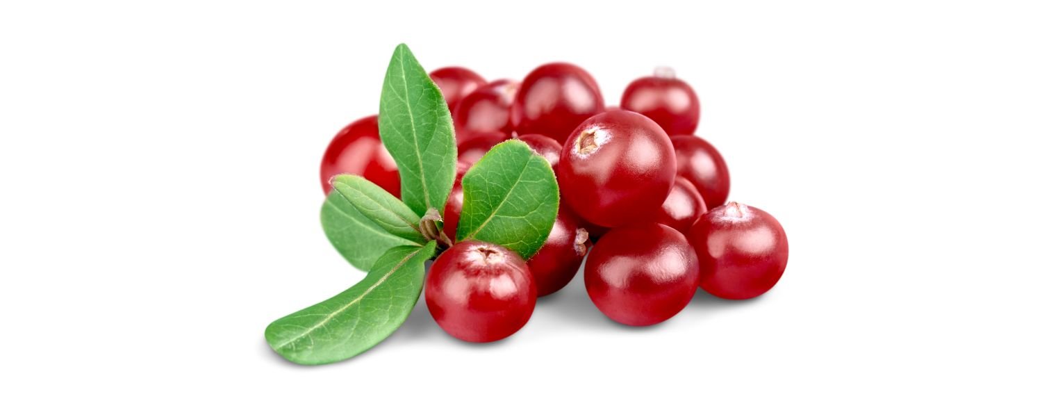 Cranberry