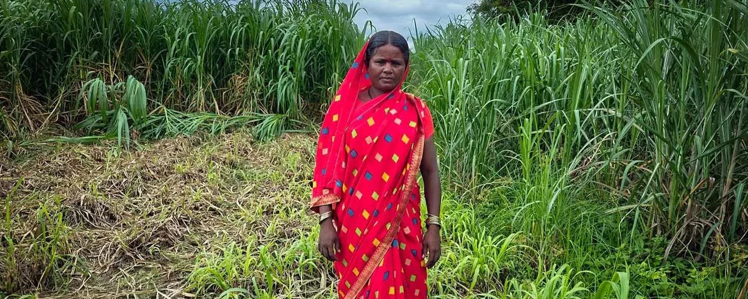 Economy of Marathwada Village