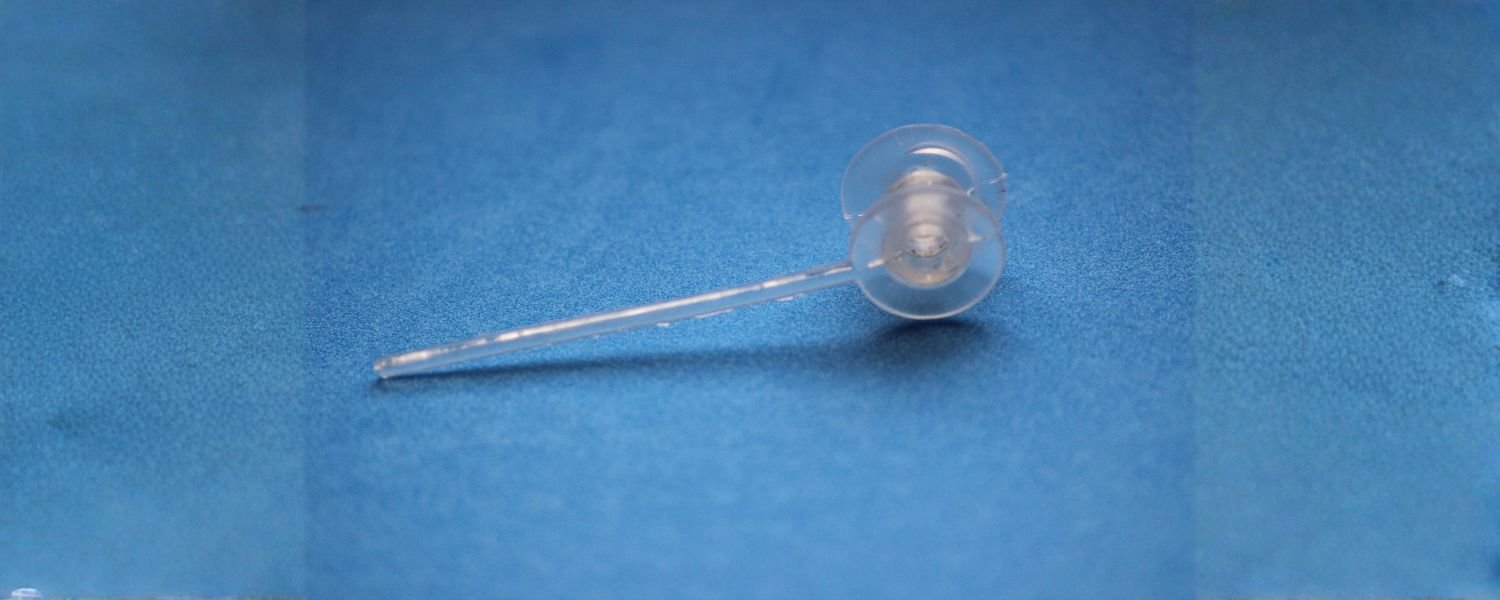 Launching the Voice Device