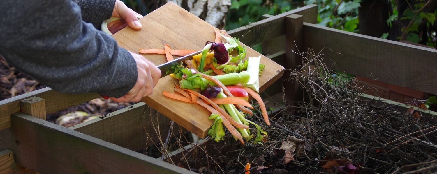 Plant-based Compost, Organic Manure at Home