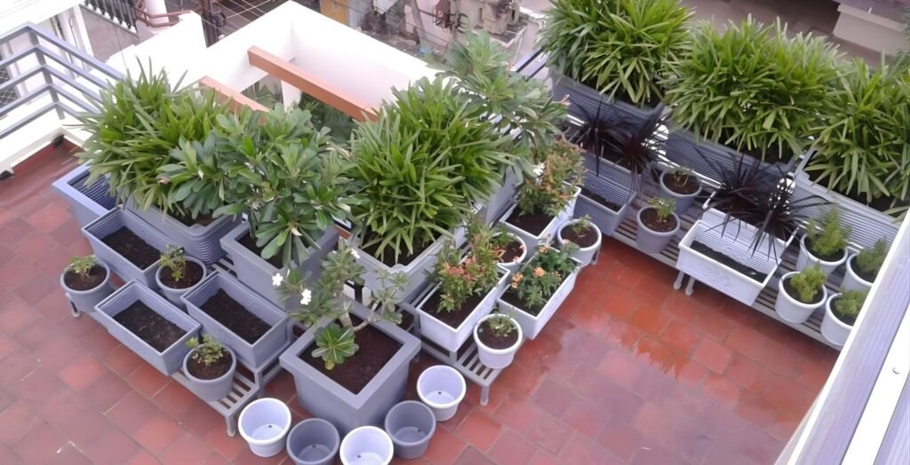 Terrace Garden in Bangalore