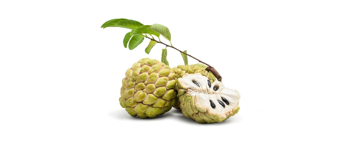 Custard Apple 