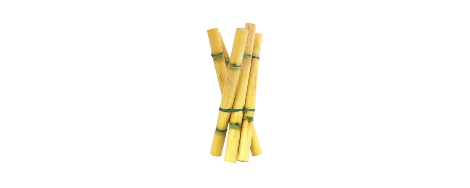 Sugarcane 