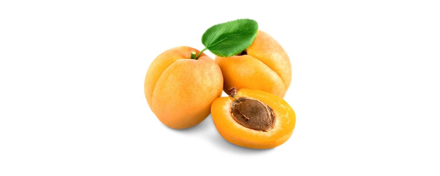 Apricot 