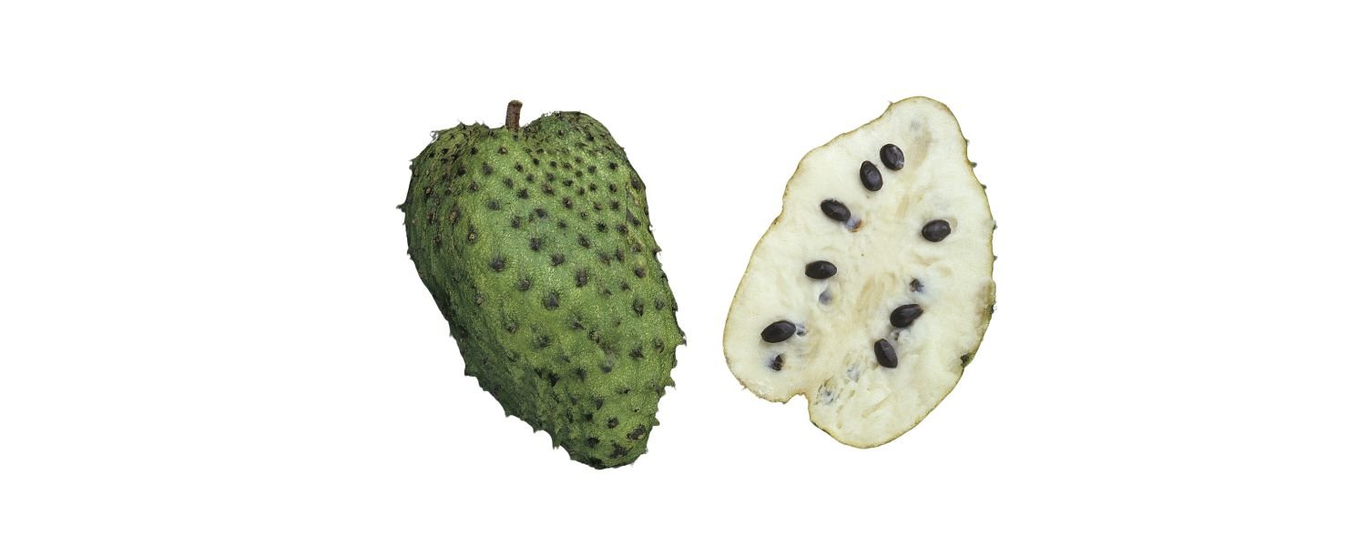 Soursop 