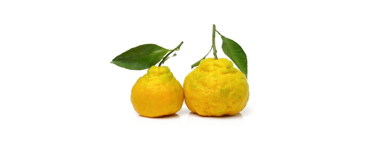 Ugli fruit