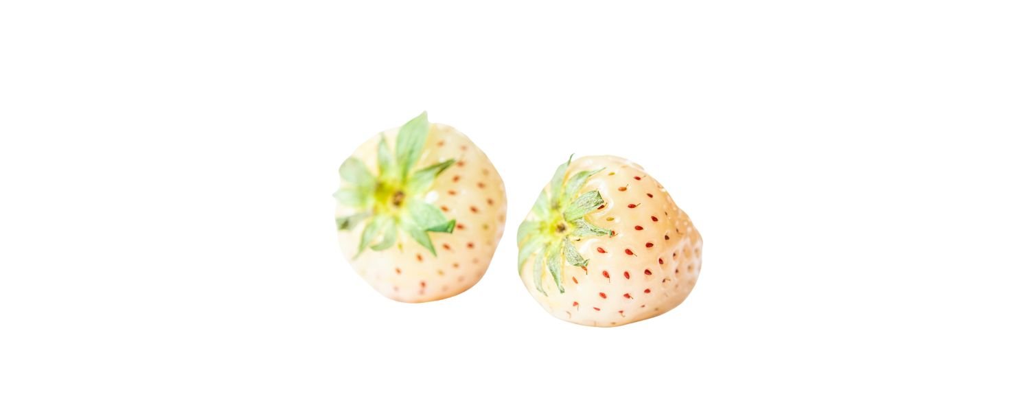 Pineberry