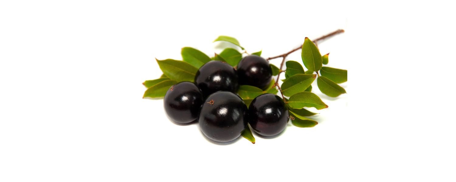 Jabuticaba 