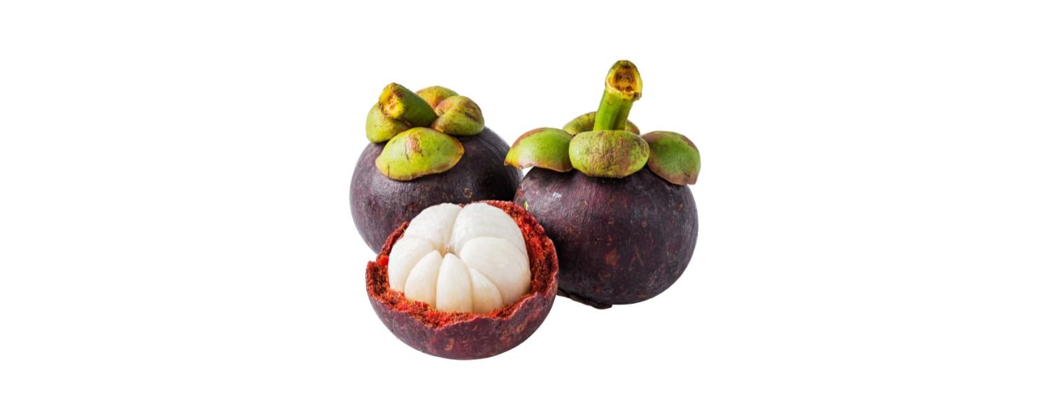 Mangosteen