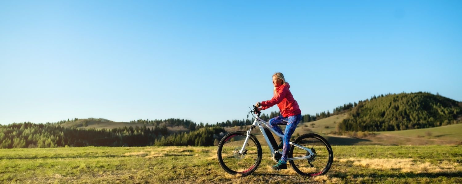 regular cycle to an electric cycle