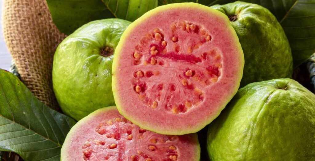 Guava Benefits