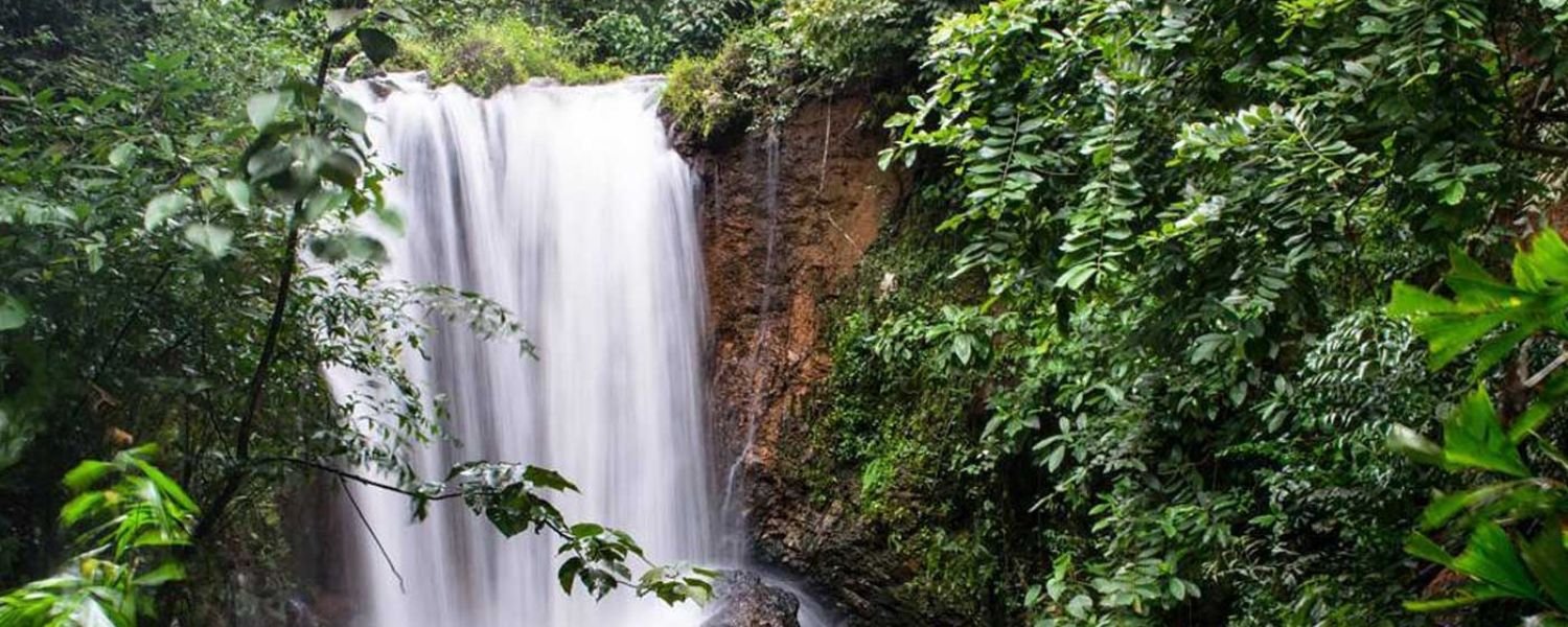 Kesarval waterfall distance,
kesarval waterfalls information,
kesarval waterfalls timings,
how to reach kesarval waterfalls,
verna waterfall,
kuskem waterfalls,
netravali waterfall information,
