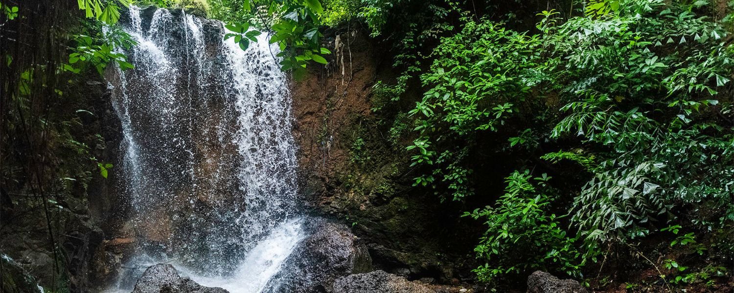 Kesarval waterfall distance,
kesarval waterfalls information,
kesarval waterfalls timings,
how to reach kesarval waterfalls,
verna waterfall,
kuskem waterfalls,
netravali waterfall information,
