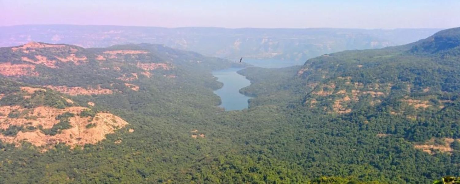 Koyna river map,
koyna dam,
koyna river upsc,
Koyna river location,
koyna river information,
koyna river is a tributary of which river,
