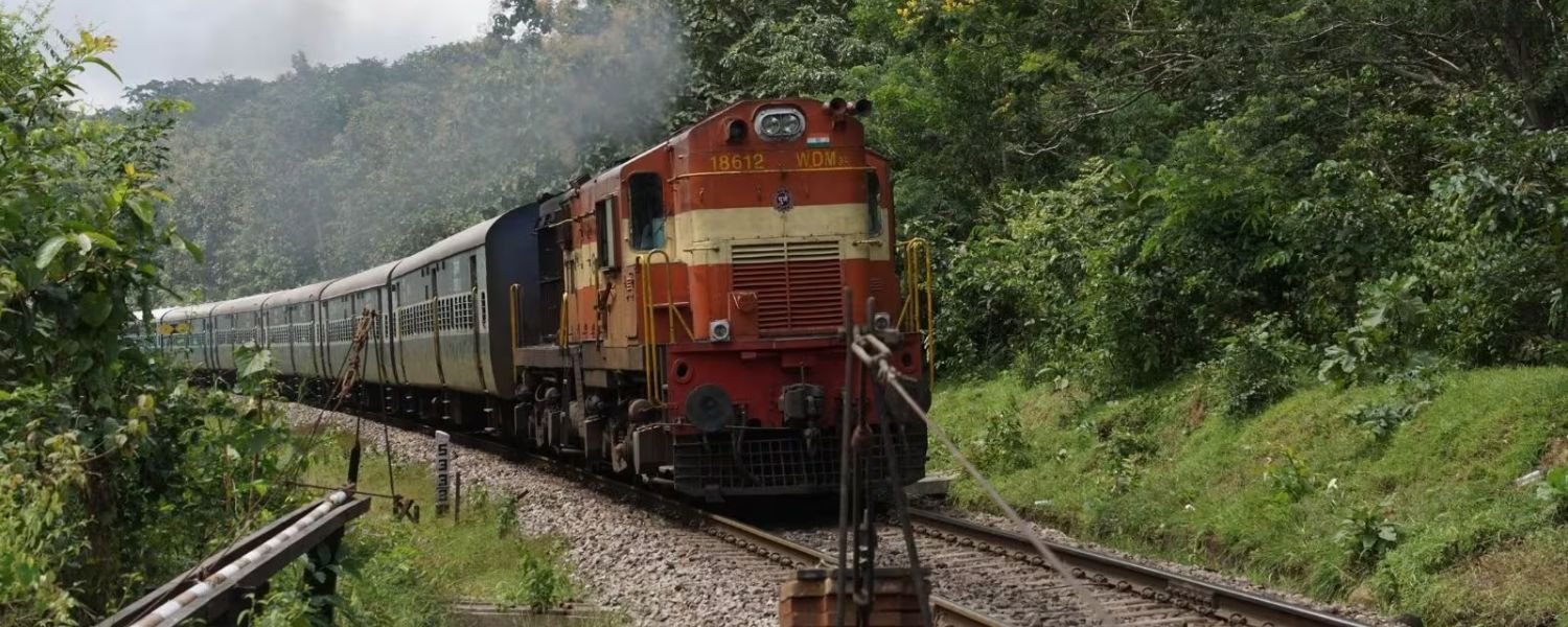 Environmental Sustainability Initiatives