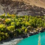 flora of Ladakh with name, flora and fauna of Ladakh, flora of Ladakh with name, Flora of Ladakh paragraph,