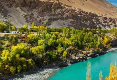 flora of Ladakh with name, flora and fauna of Ladakh, flora of Ladakh with name, Flora of Ladakh paragraph,