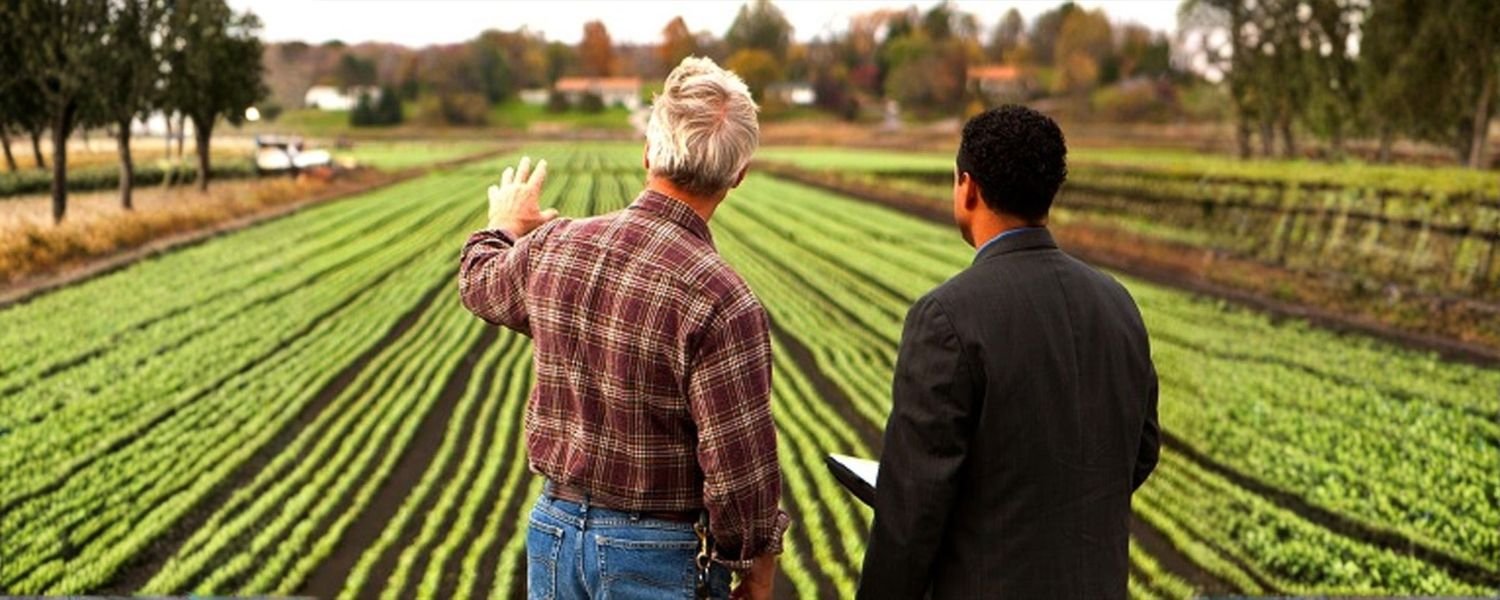 Agricultural Entrepreneur