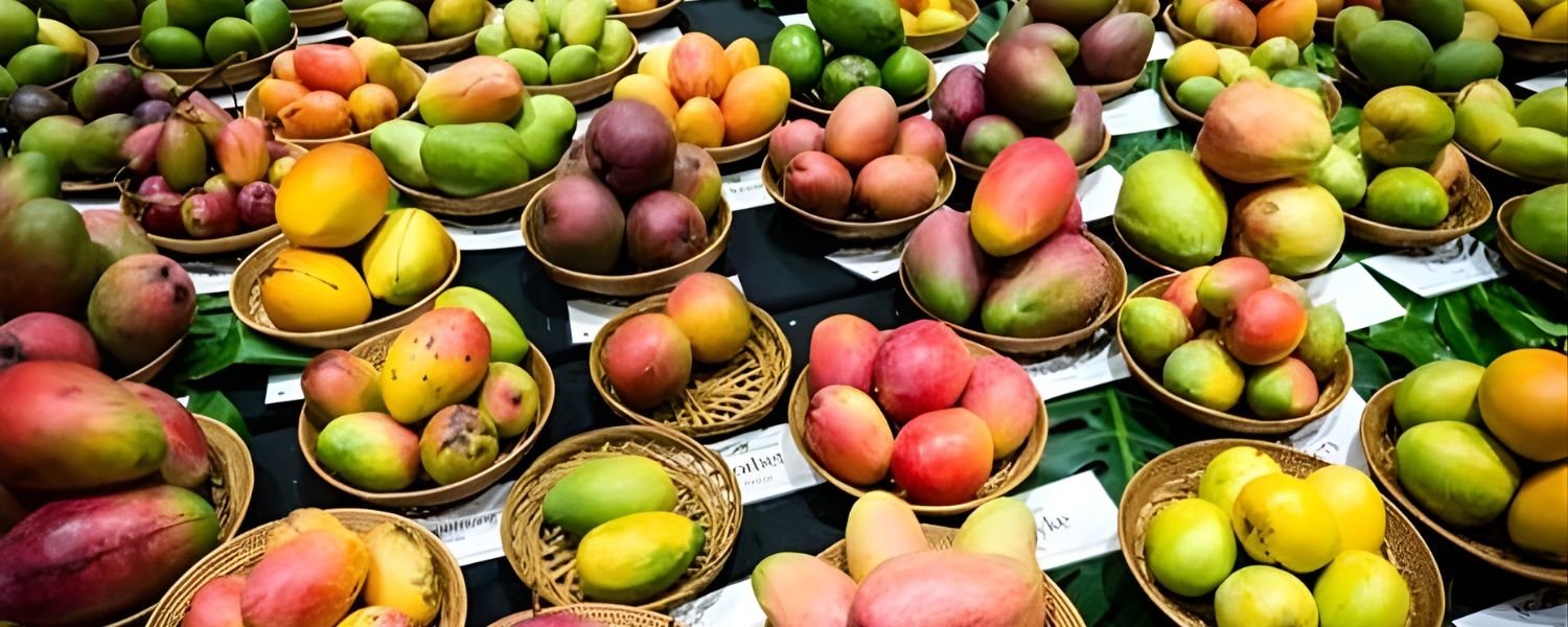 International_Mango_Festival