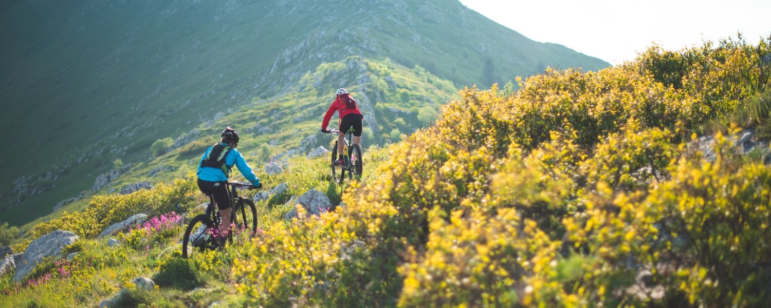 Mountain Biking for Beginners, physiology of mountain biking 
