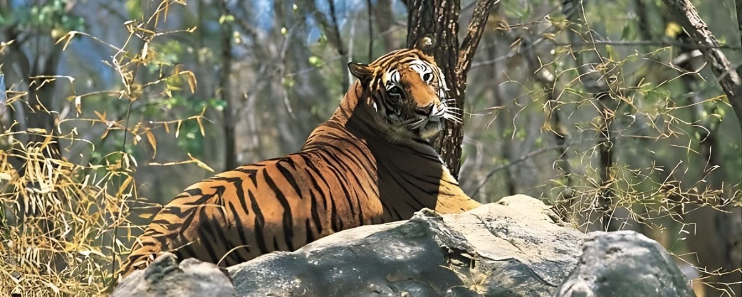 Achanakmar Wildlife Sanctuary