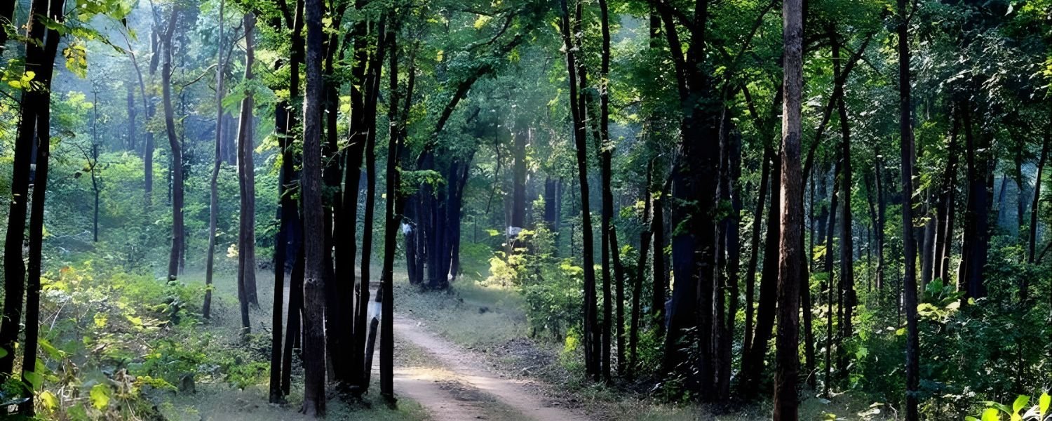 Barnawapara Wildlife Sanctuary