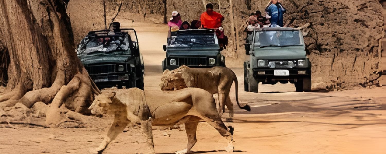 Gir National Park