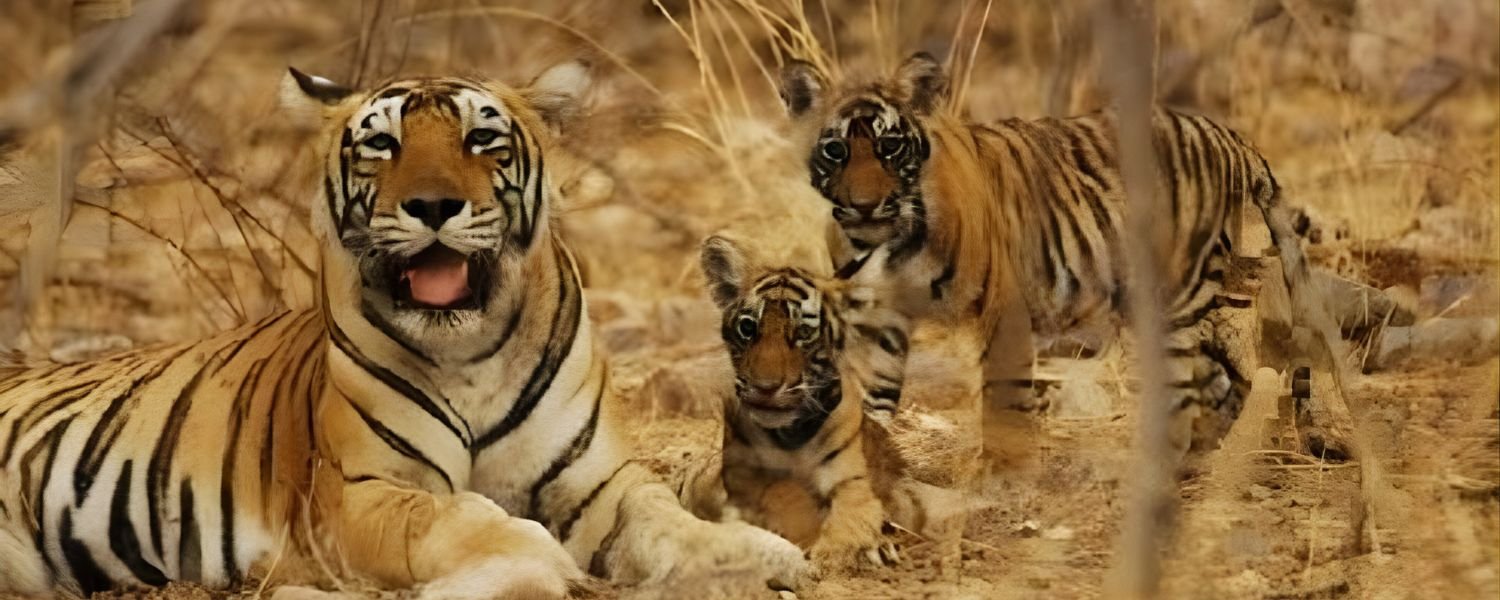 Indravati National Park