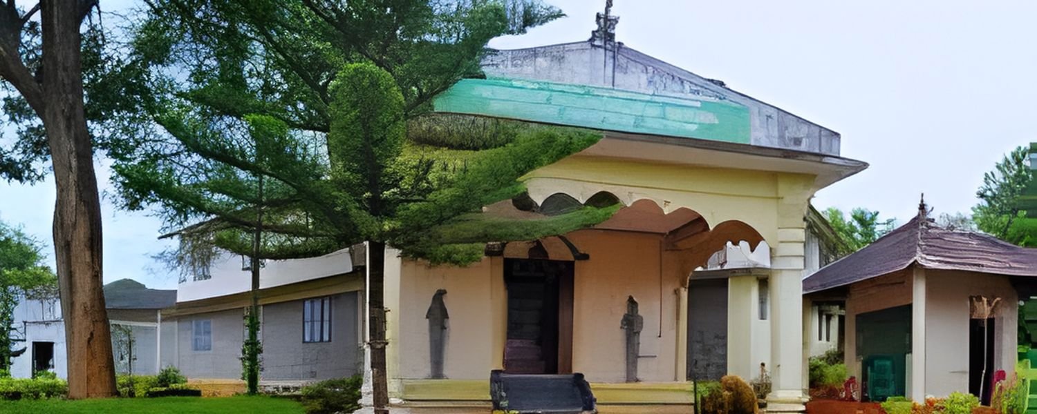 Wayanad Heritage Museum