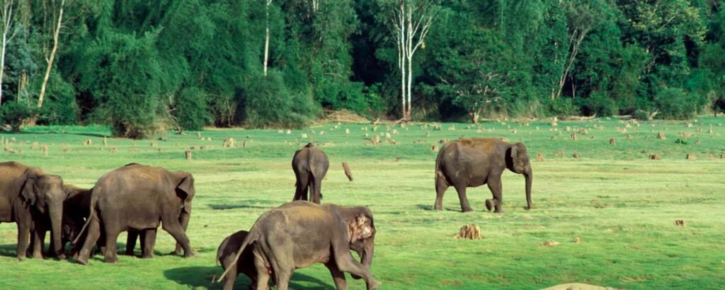 Kabini National Park