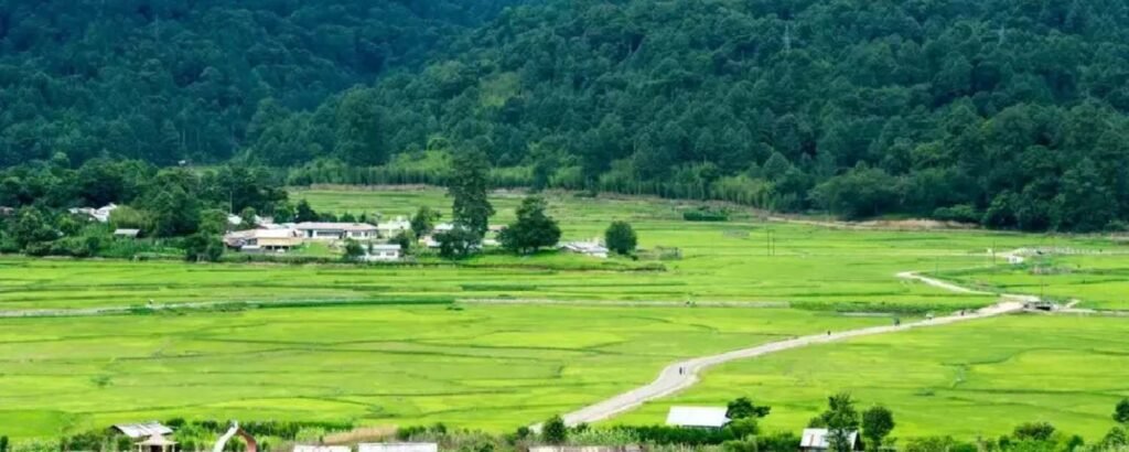 Ziro Valley